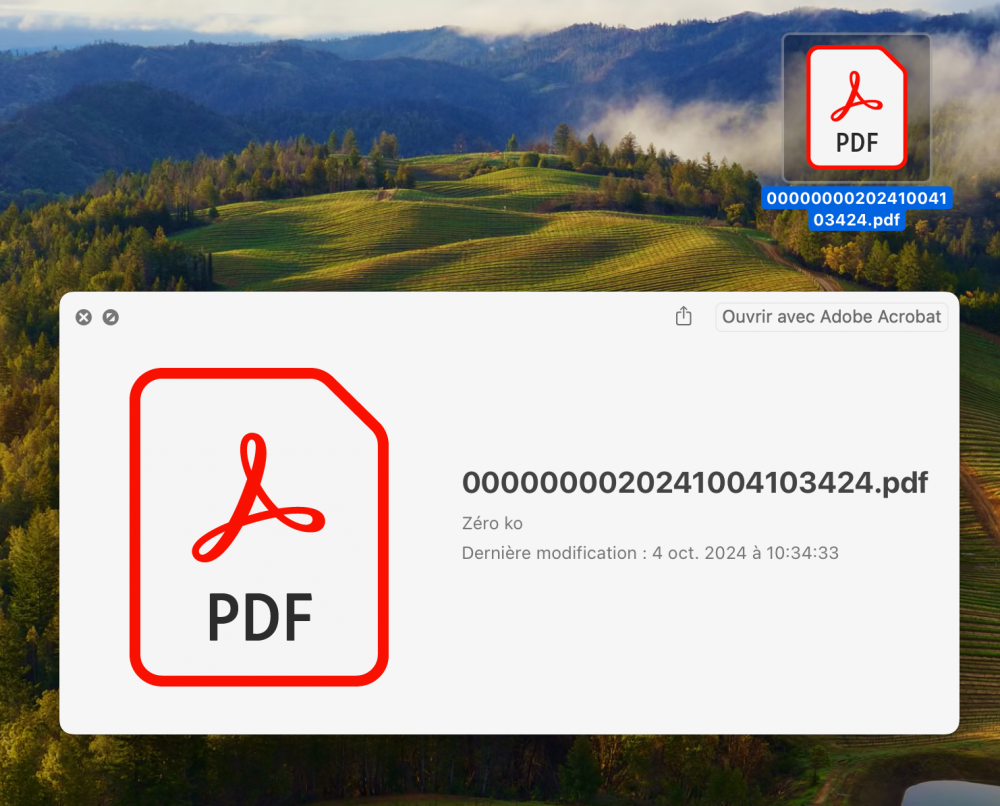 Capture d’écran 2024-10-04 à 10.35.02.png