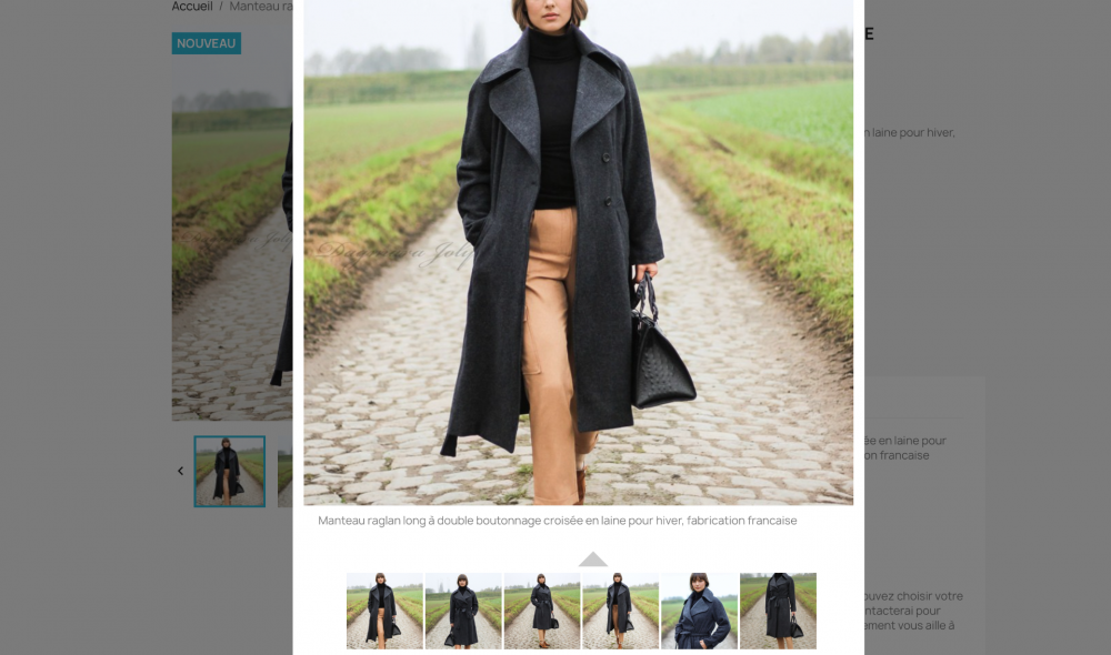 Capture d’écran 2024-11-18 à 13.20.11.png