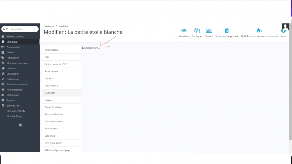 Capture d’écran (21).png