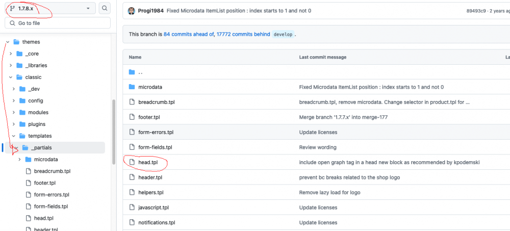 Schermata 2024-12-13 alle 08.33.50.png