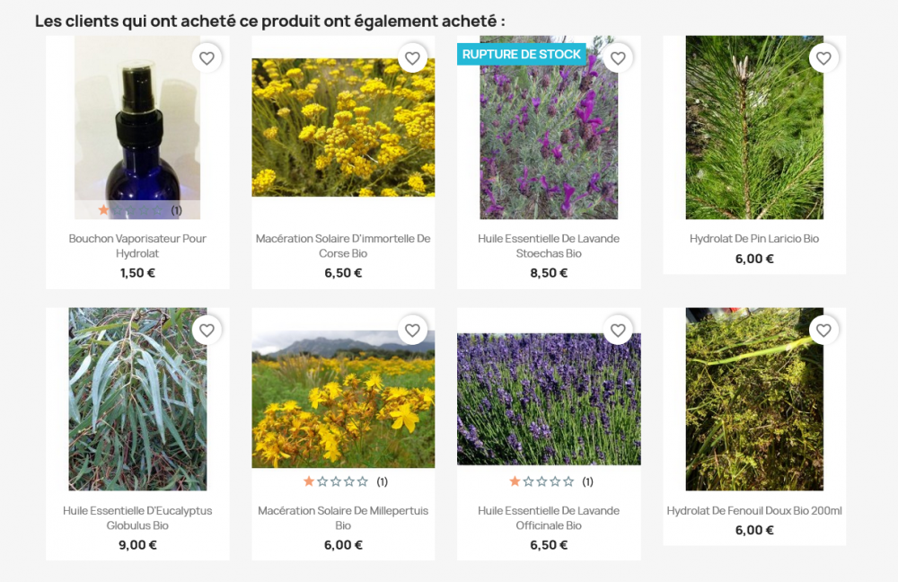 Screenshot 2024-12-11 at 12-50-49 Huile essentielle de Pin Laricio bio.png