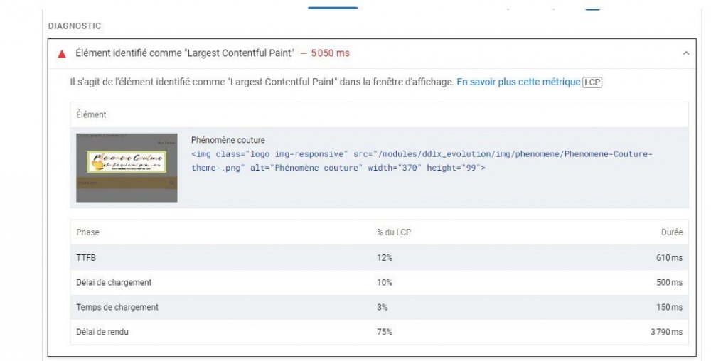 Logo Largest Contentful Paint.jpeg