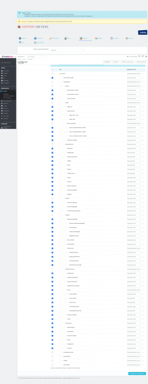 Screenshot 2025-03-06 at 19-03-10 Gestionnaire de modules • Scrapascher.png