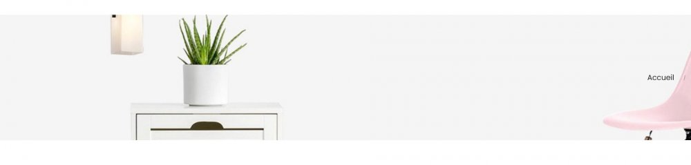 Capture d’écran_22-7-2025_82658_www.france-silky.com.jpeg