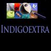 Indigoextra