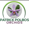 Patrick POLBOS Orchi