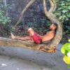 walid01300